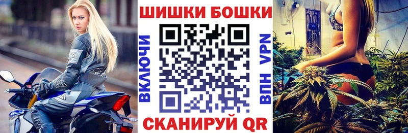 Где найти наркотики Зерноград Метадон  Alpha-PVP  Меф мяу мяу  Кокаин  Лсд 25  Амфетамин  Гашиш 