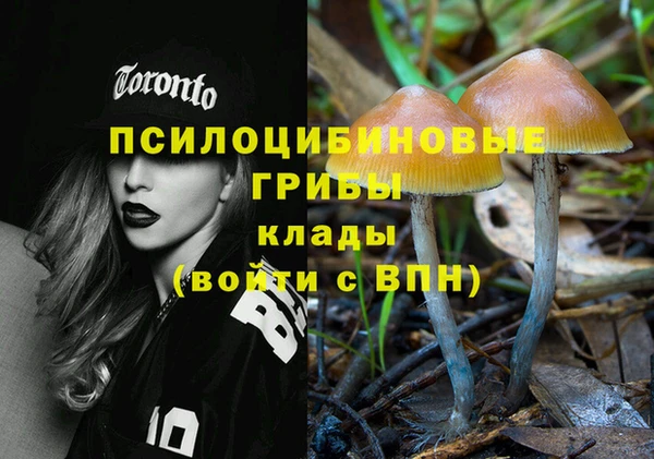 стаф Алзамай
