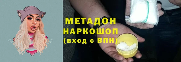 стаф Алзамай