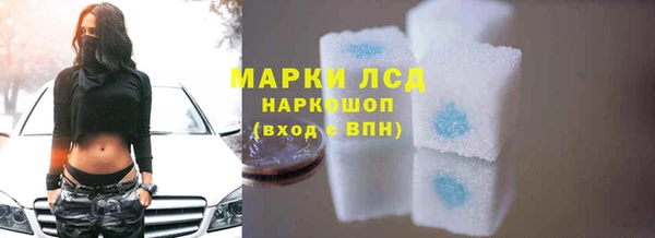 стаф Алзамай