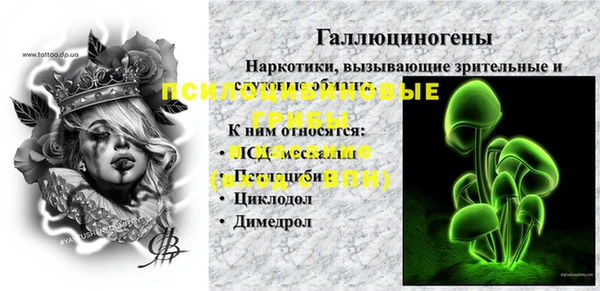 стаф Алзамай