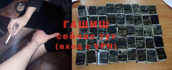 стаф Алзамай