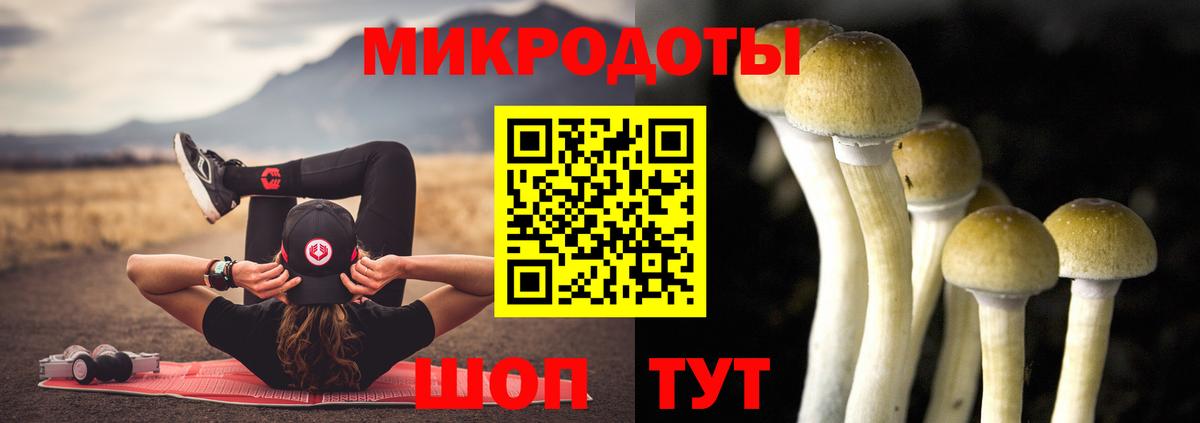 сколько стоит  Вход с VPN  Зерноград  Псилоцибиновые грибы мухоморы  Псилоцибиновые грибы GOLDEN TEACHER 